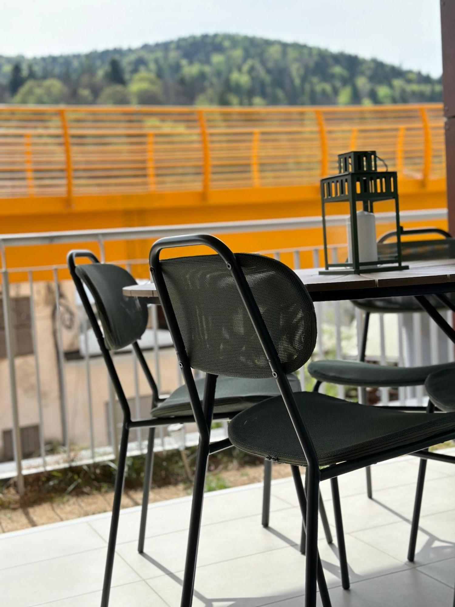 Dream Garden Apartment With Free Parking Σινάια Εξωτερικό φωτογραφία