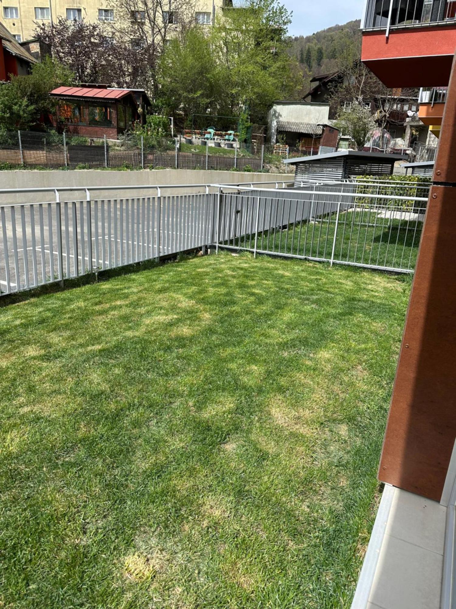 Dream Garden Apartment With Free Parking Σινάια Εξωτερικό φωτογραφία